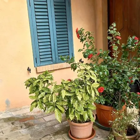 Casa Del Maestro Casa vacanze Castel di Lama